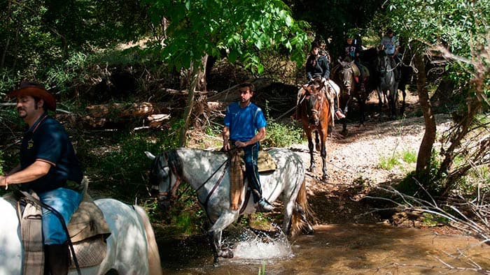Horseback riding routes by the river guadalquivir