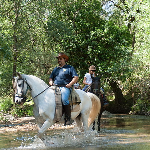 Paseos a caballo en Cazorla 1 o 2 horas