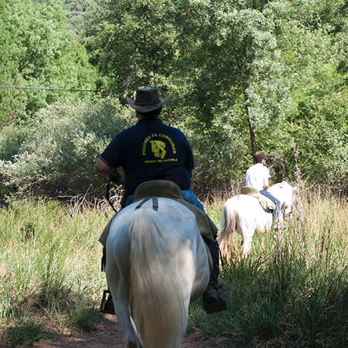 Paseos a caballo en Cazorla 4 o 5 horas
