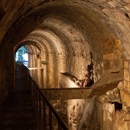 Visita guiada Cazorla Visita guiada Cazorla